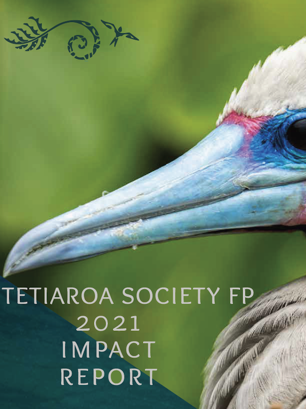 read the 2021 TSFP impact report