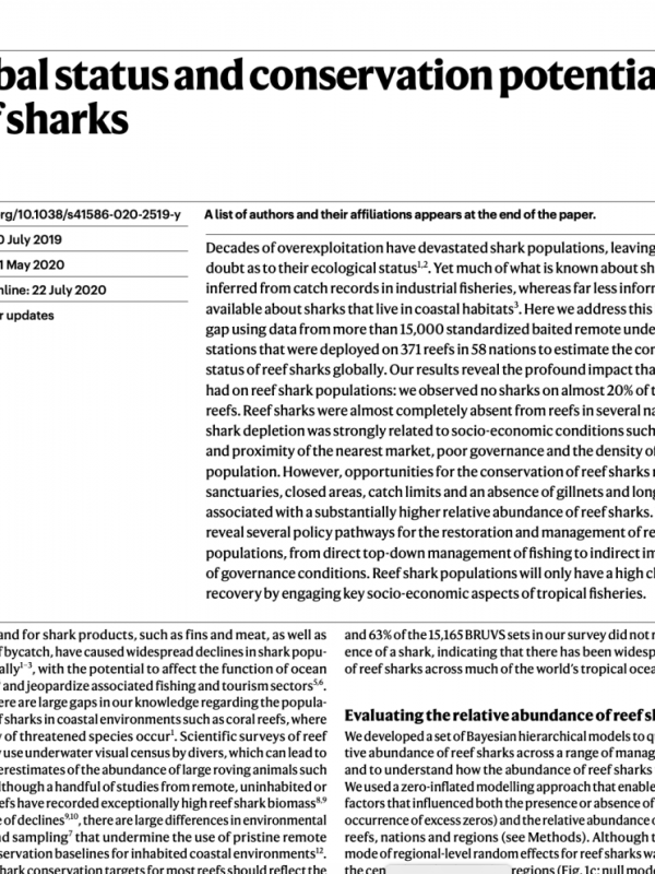 Global status and conservation potential of reef sharks