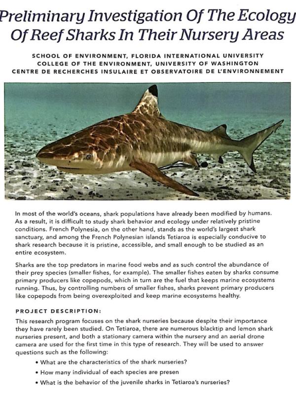 read the pdf: ecology of reef sharks in their nursery areas