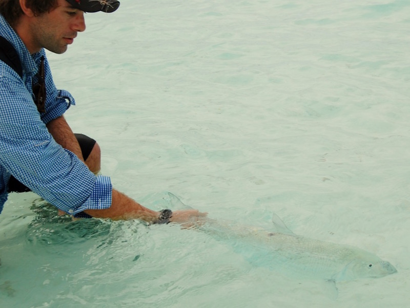 researcher with a bonefish