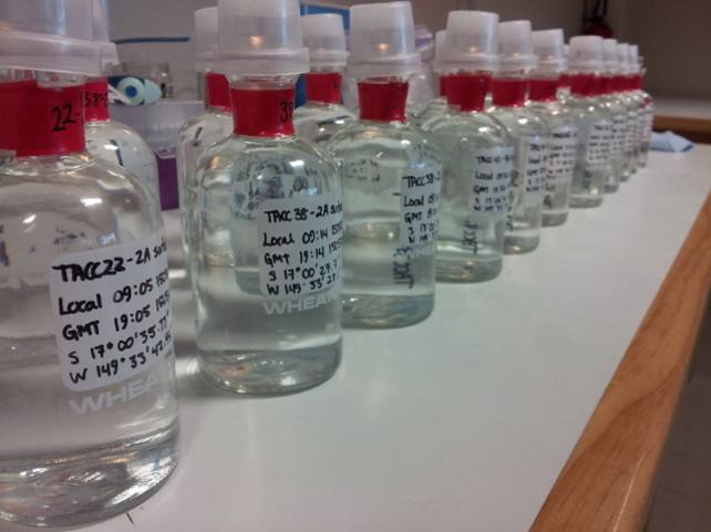 water samples