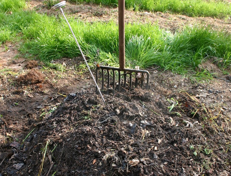 Qu Est Ce Que Le Compost Tetiaroa Society