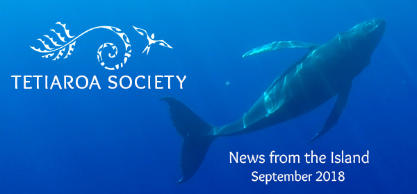 September newsletter features humpback whales