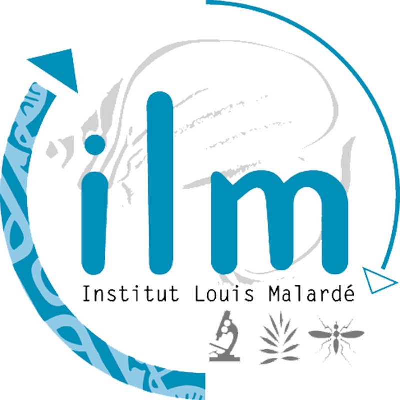institute lotus malardé