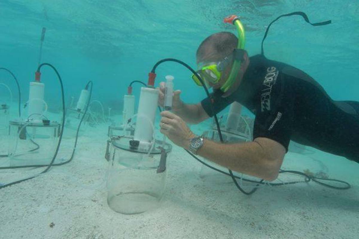 water sampling