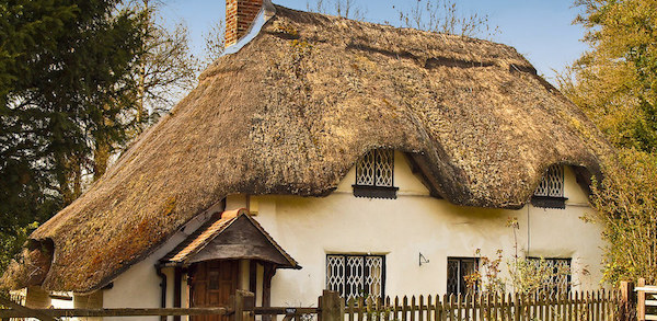 Cladium-thatched roof