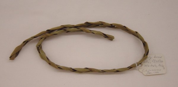 cladium cordage