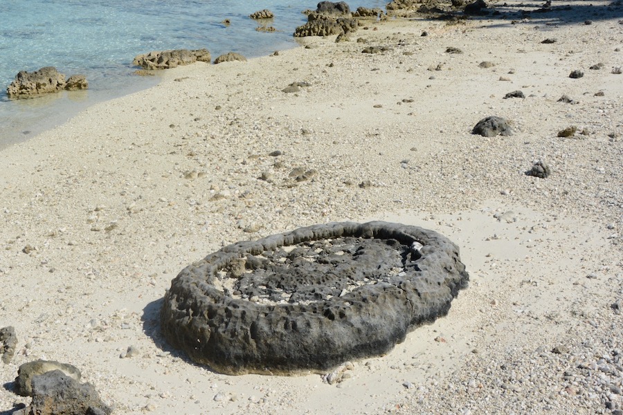 coral boulder