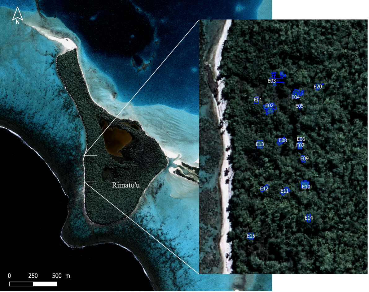williams plantation - motu rimatuu