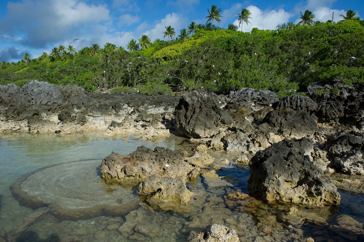 calcium carbonate deposited when sea levels were higher