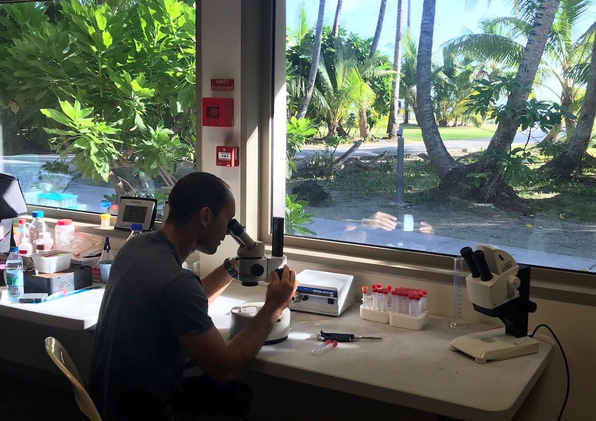 in the lab on Tetiaroa