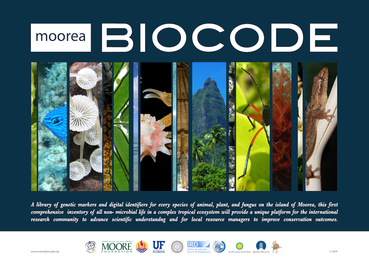 Biocode Moorea
