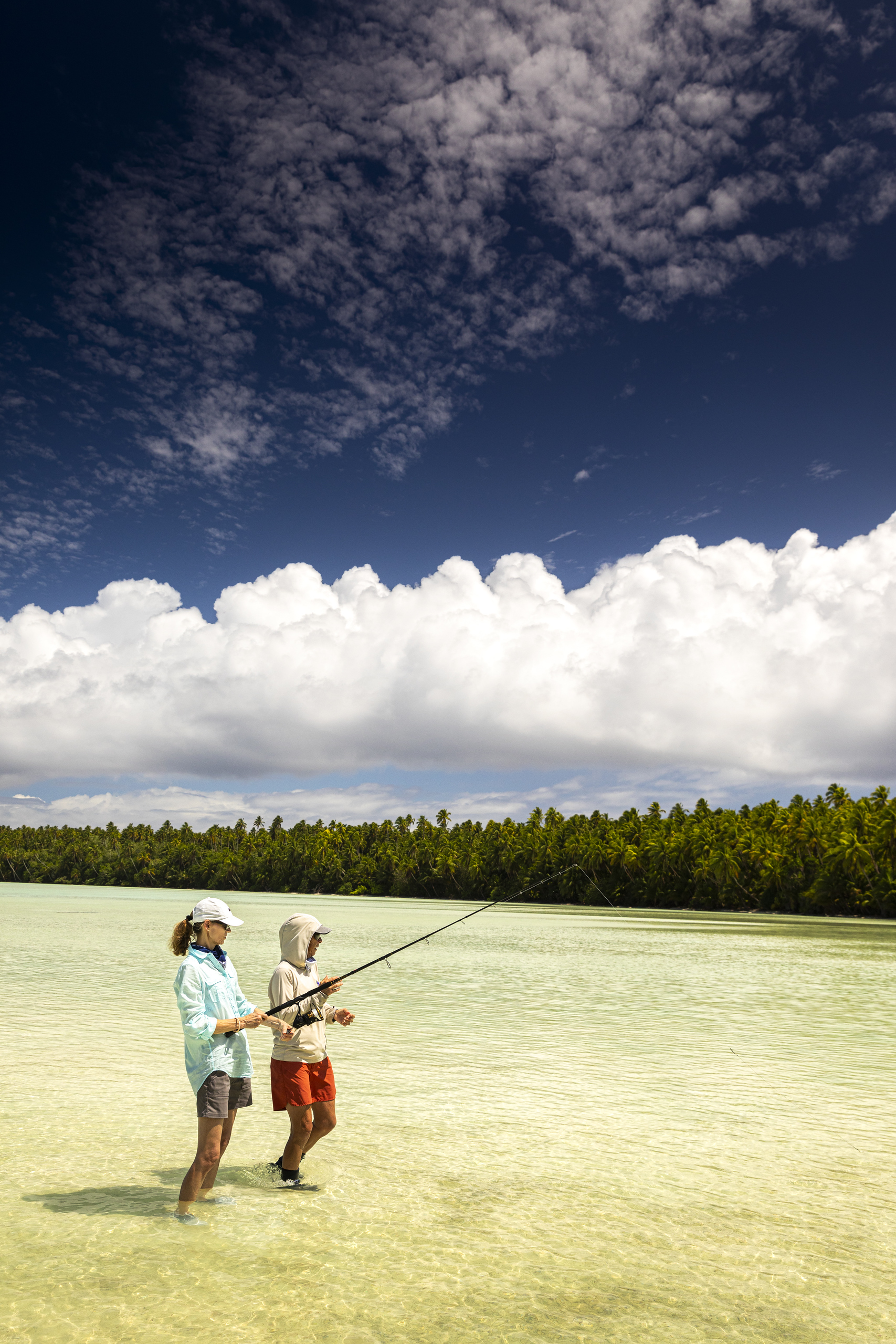 Shark fishing