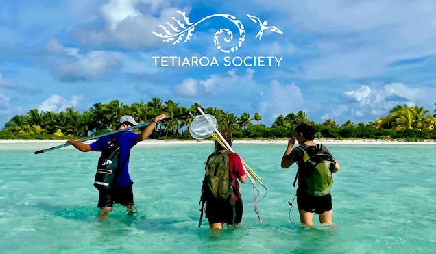 researchers at work on Tetiaroa