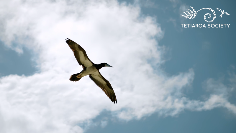 giving tuesday Dec 2, 2025