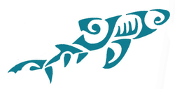 blue-shark-small.png shark icon