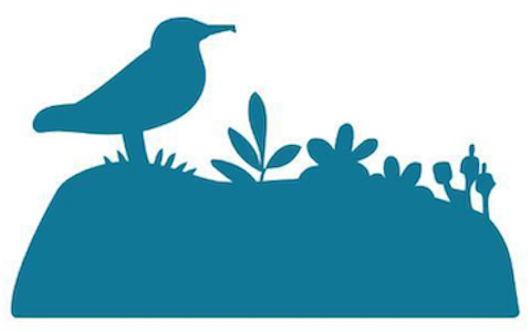 Island Conservation