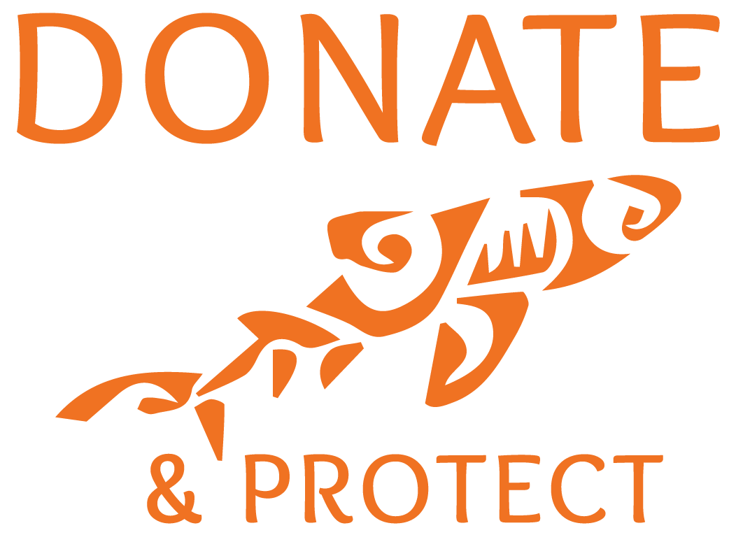 donate to TS