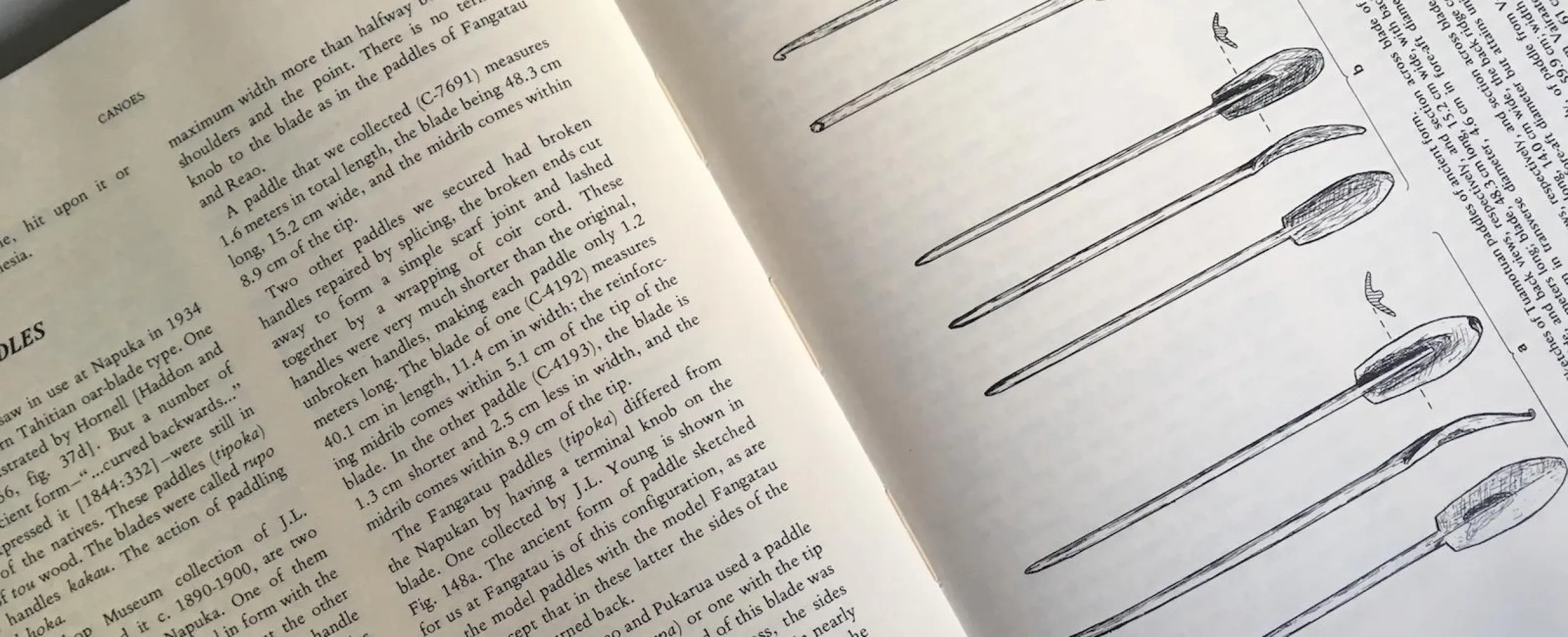 A book in our library