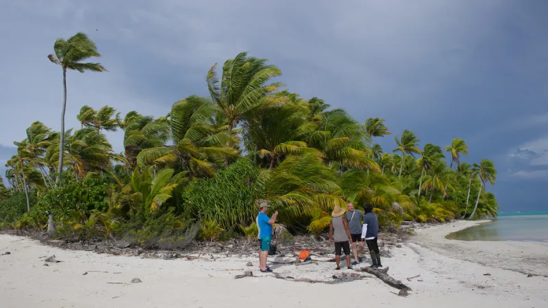 atoll research 