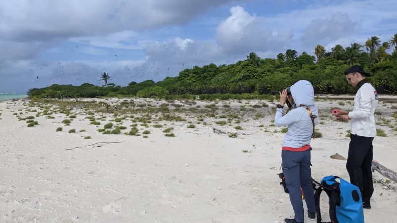 The UW seabird team on Tetiaroa