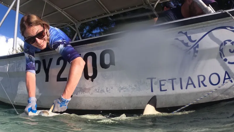 Scientists from the University of Washington are back on Tetiaroa