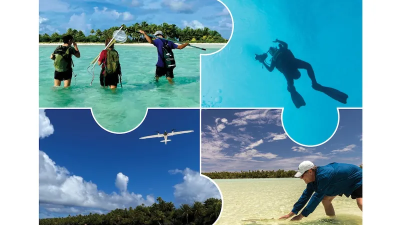 Research and conservation