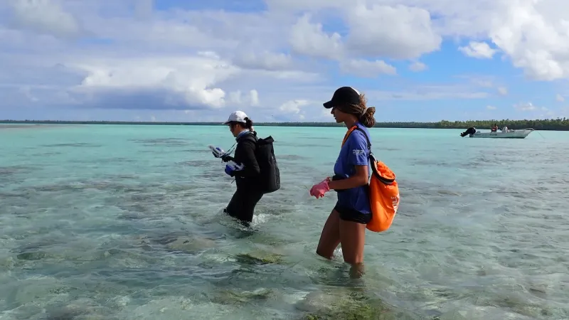 Sampling in the lagoon