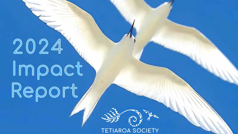 2024 Impact Report