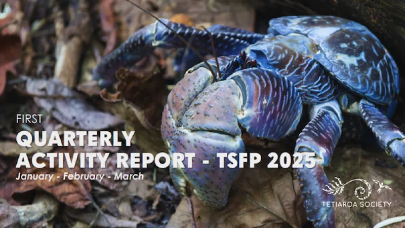1st quarter report