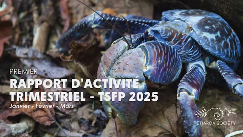 1ere trimestriel rapport