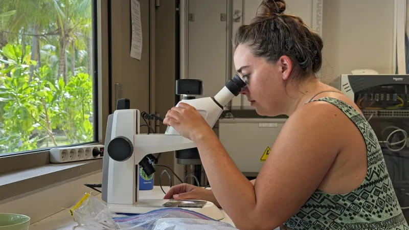 Ecophysiology and microplastics project