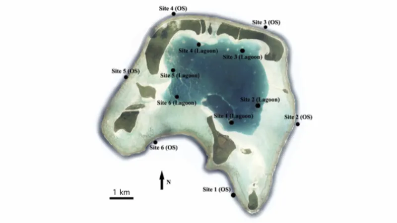 fish monitoring locations on Tetiaroa