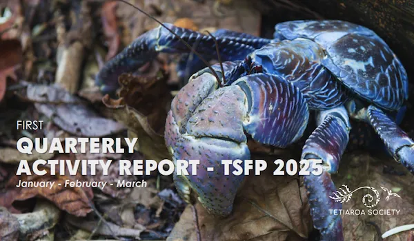 1st quarter report