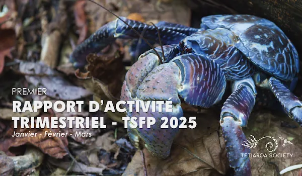 1ere trimestriel rapport