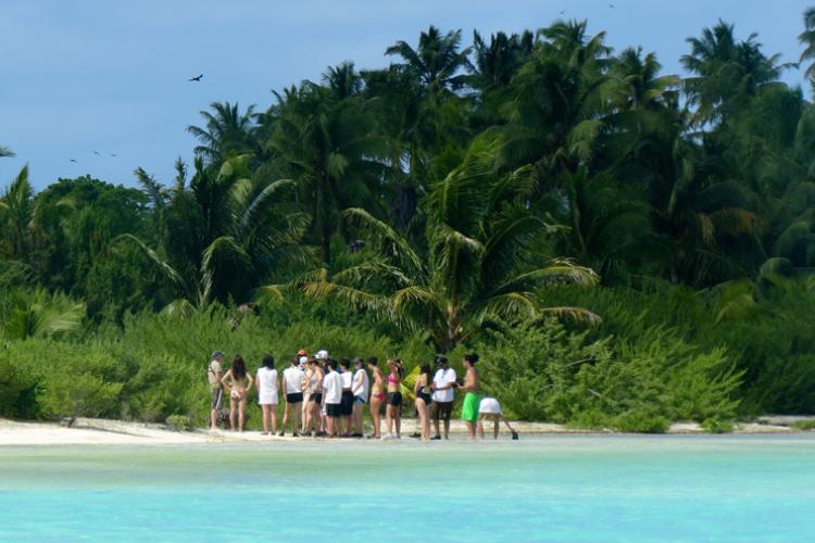 atoll ecosystem