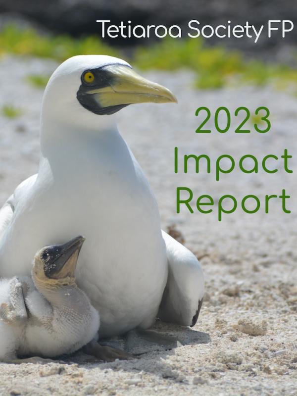 ts 2023 impact report