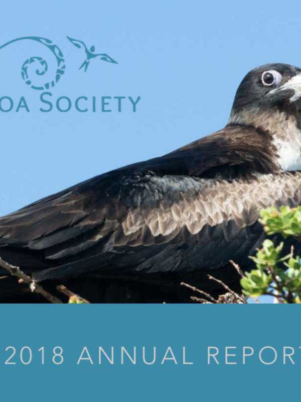2018 annual report