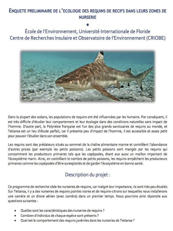 lire le pdf: L'ecologie des requins de recifs dans leurs zones de nurserie