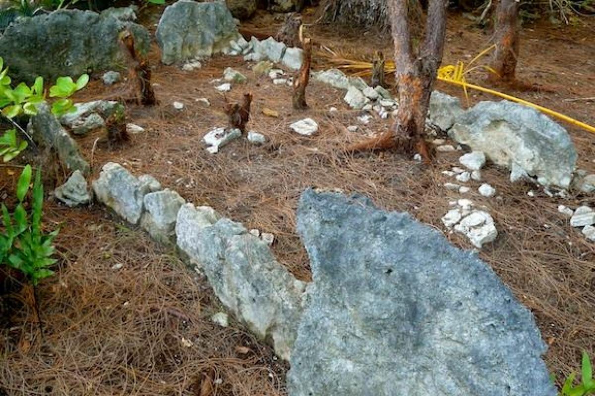 Upright stones on a marae found on Reiono, dedicated to gods and ancestors