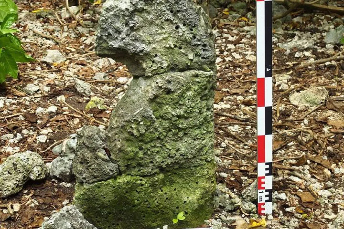An upright stone serving as backrest in the middle of the marae
