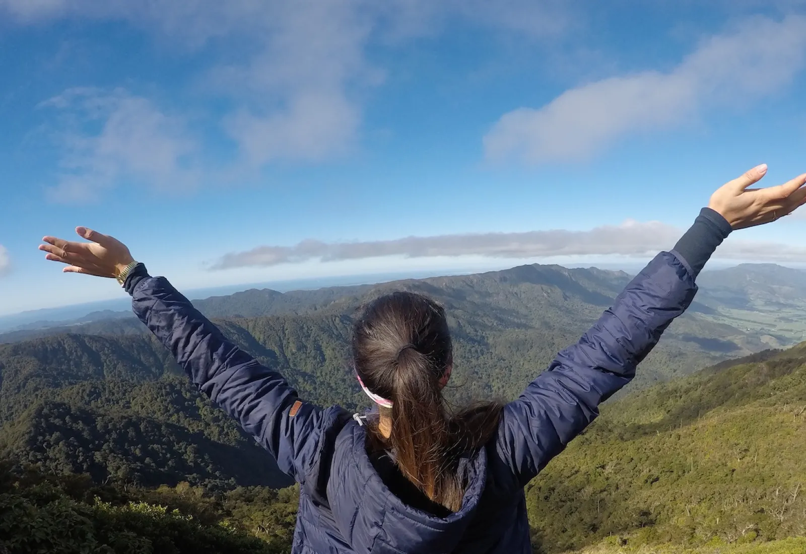 Inspiration from New Zealand