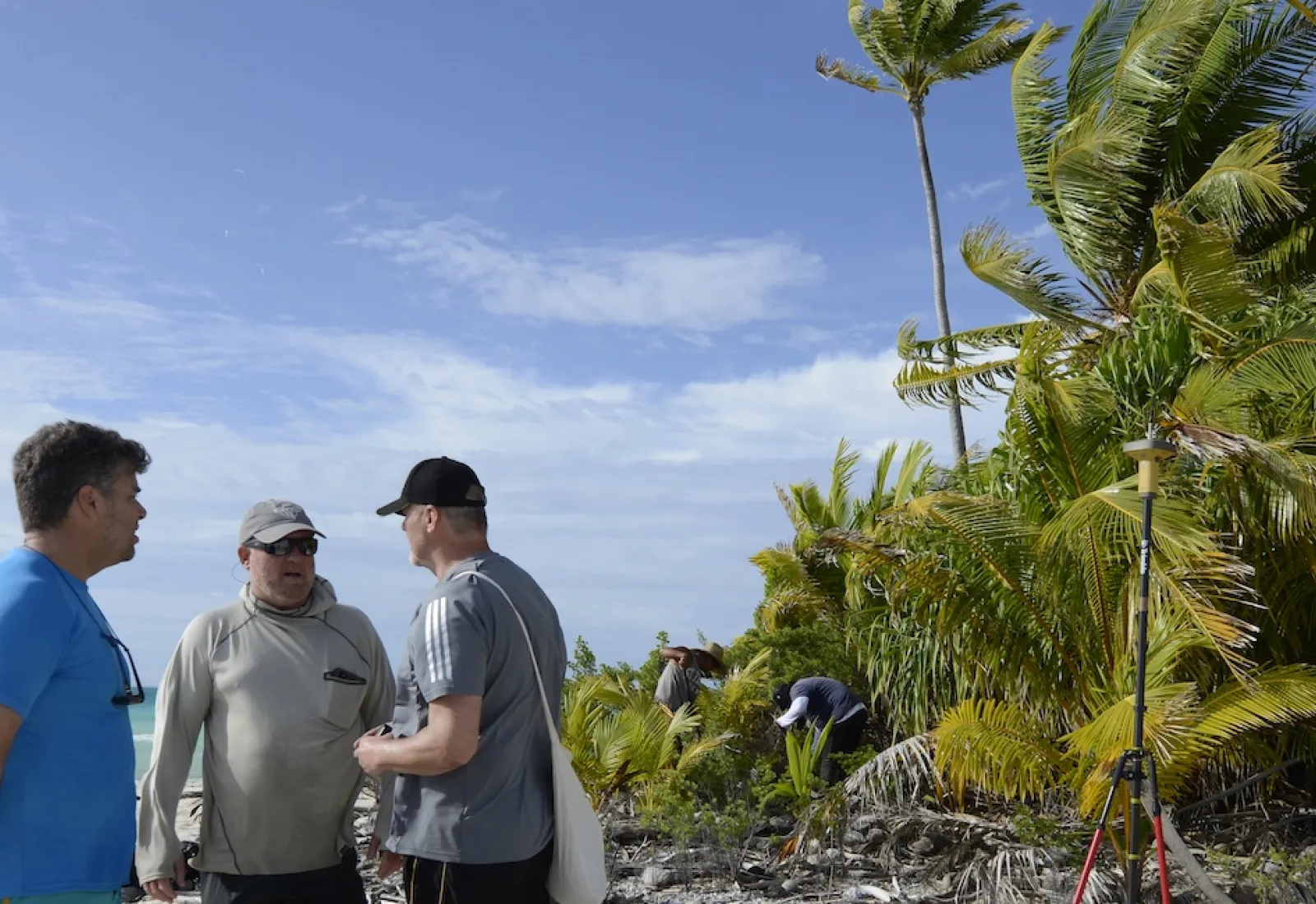 research on the motu