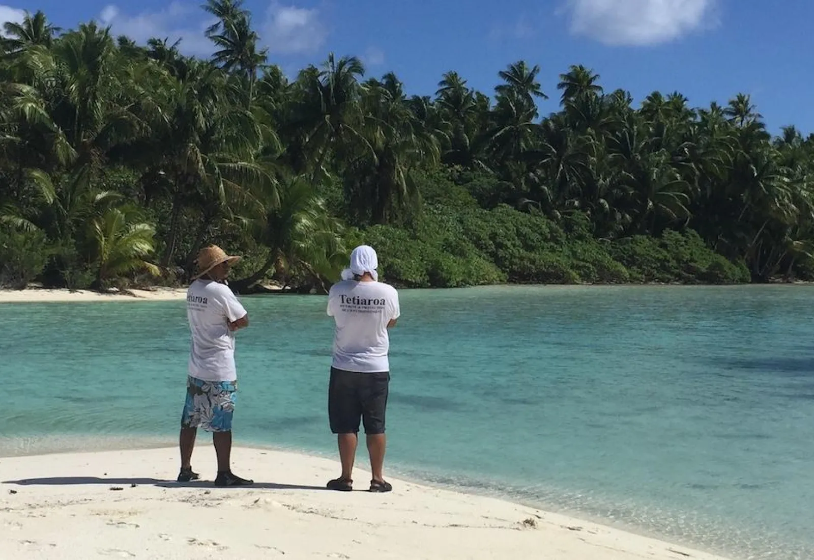 shark study on Tetiaroa