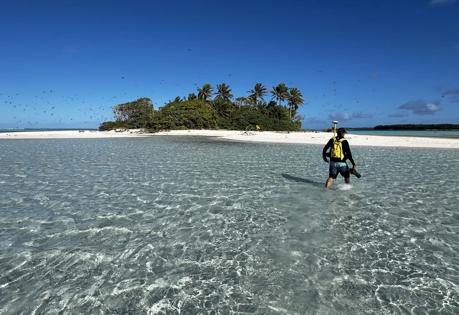 Coastline monitoring