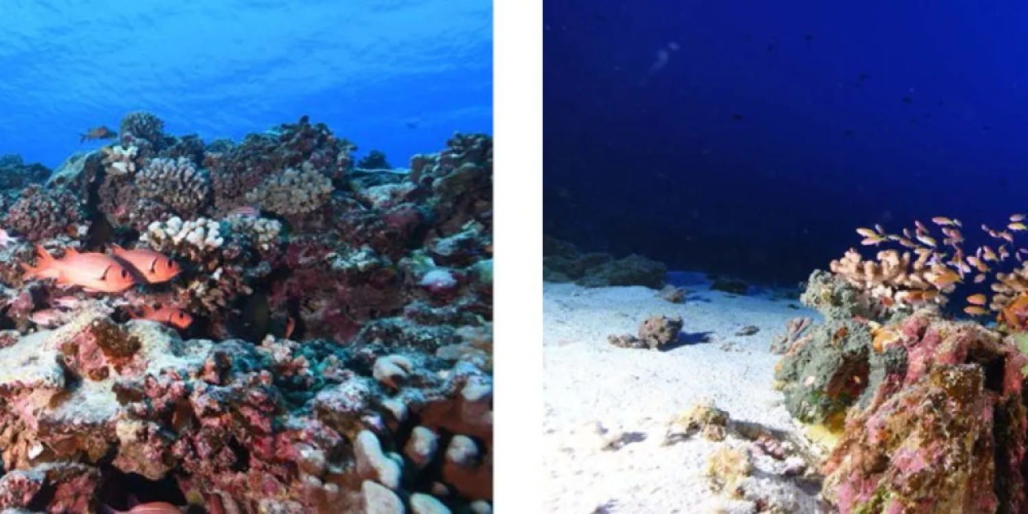 marine protected areas