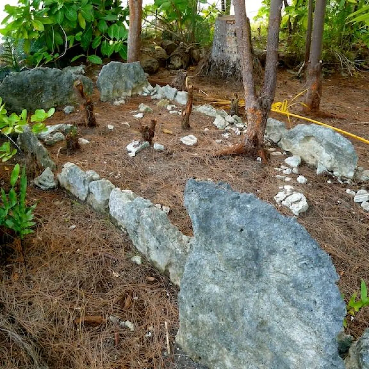 Upright stones on a marae found on Reiono, dedicated to gods and ancestors