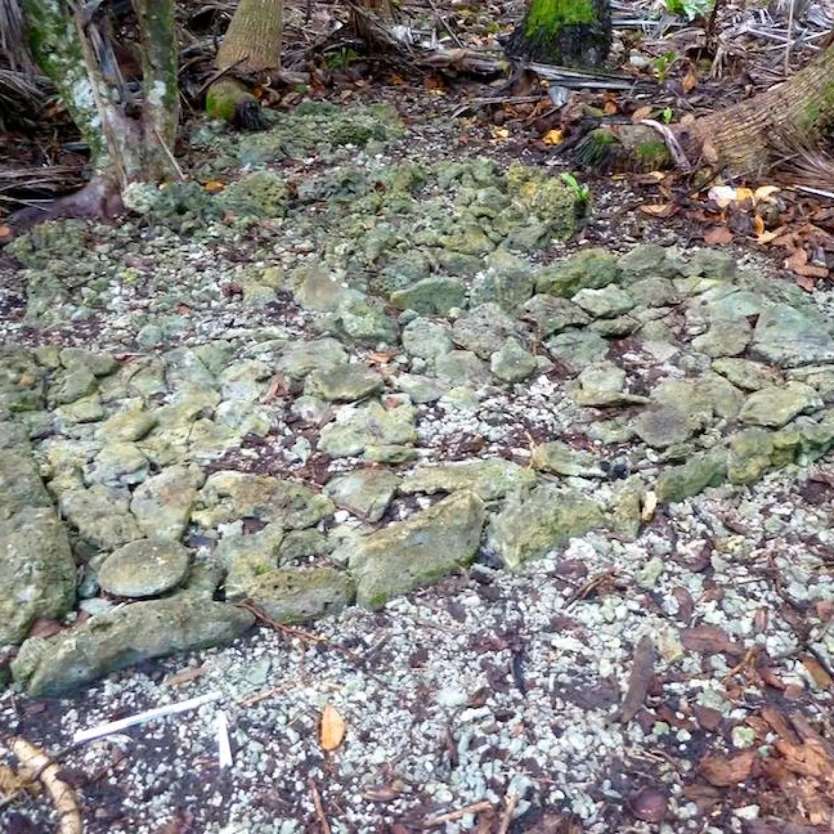 Three-paved marae found on Horoatera