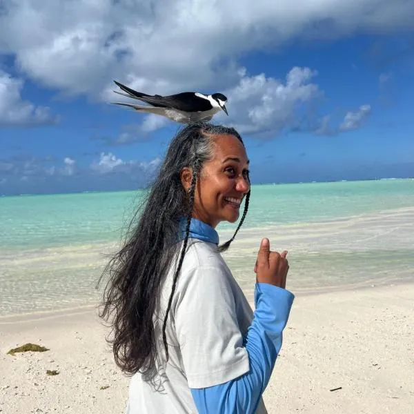 A friendly crested tern