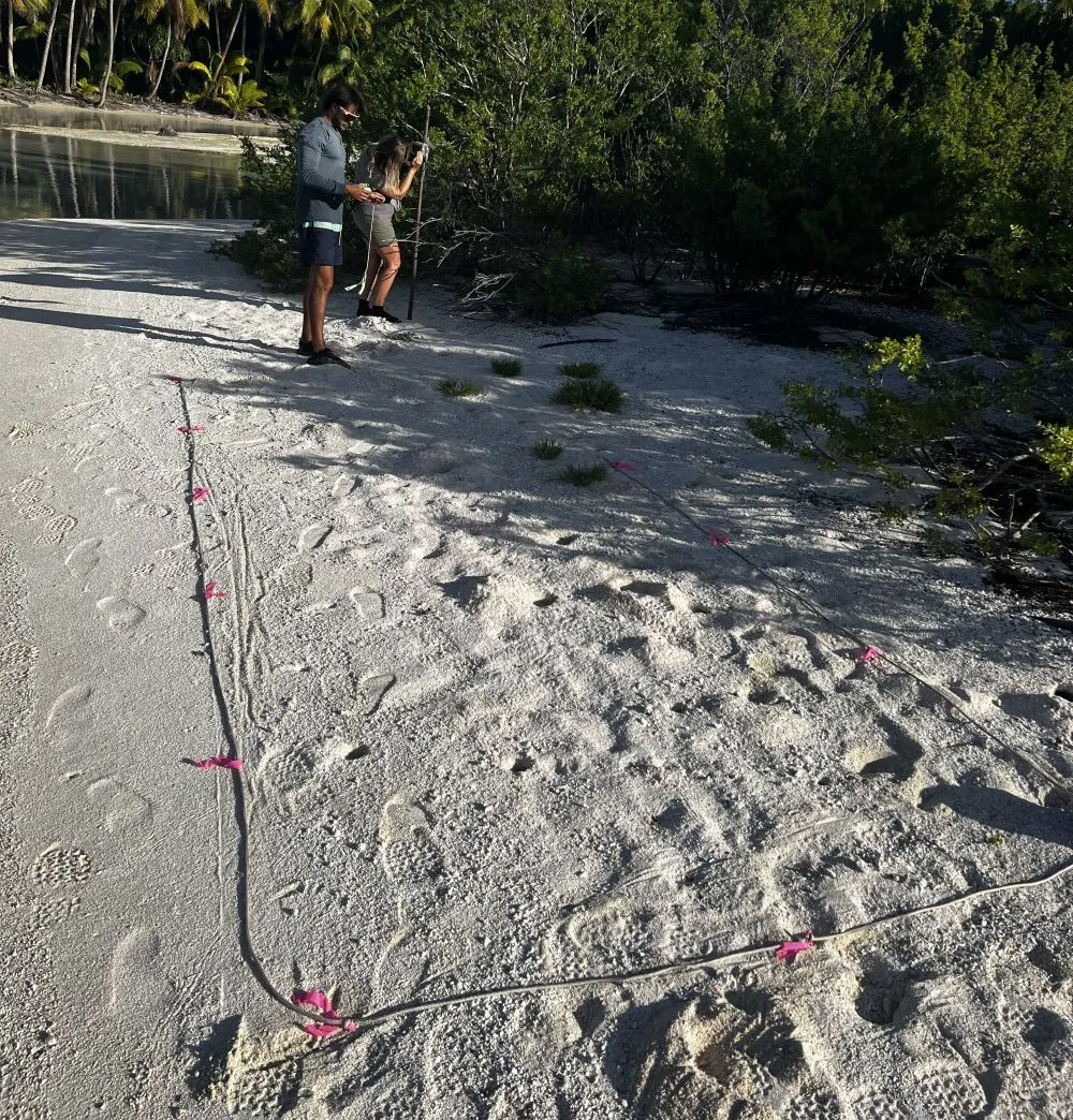 installation of cameras and transects